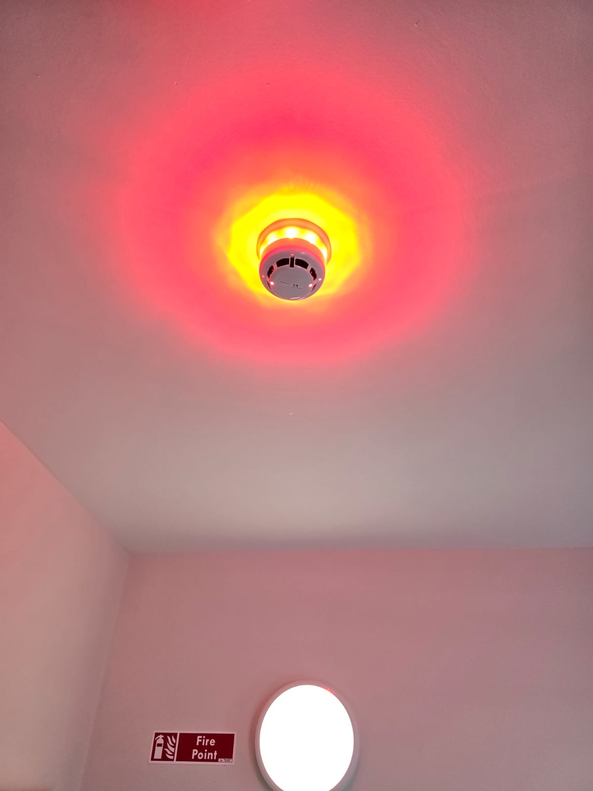 Activated smoke detector glowing red on a ceiling above a fire point sign